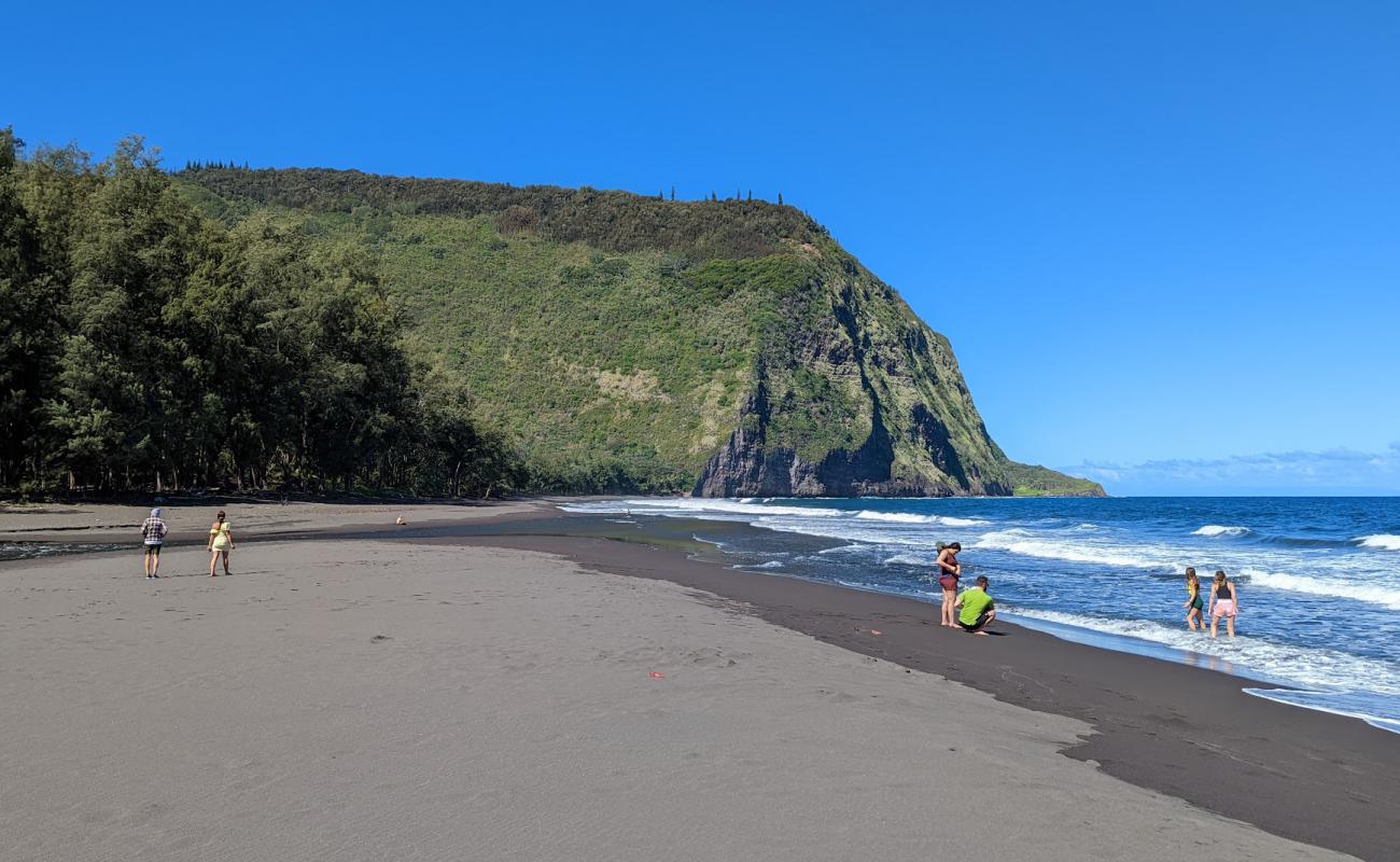 Foto de Waipi'o Black Sand Beach con arena oscura superficie