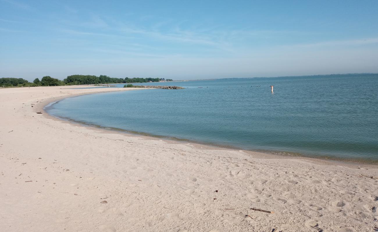 Foto de Maumee Bay State Park Beach con arena brillante superficie