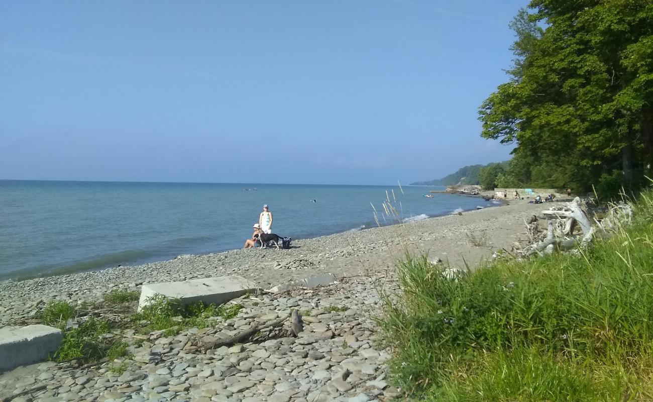 Foto de Avonia Beach con guijarro gris superficie