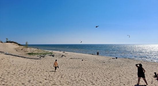 Golden Township Beach