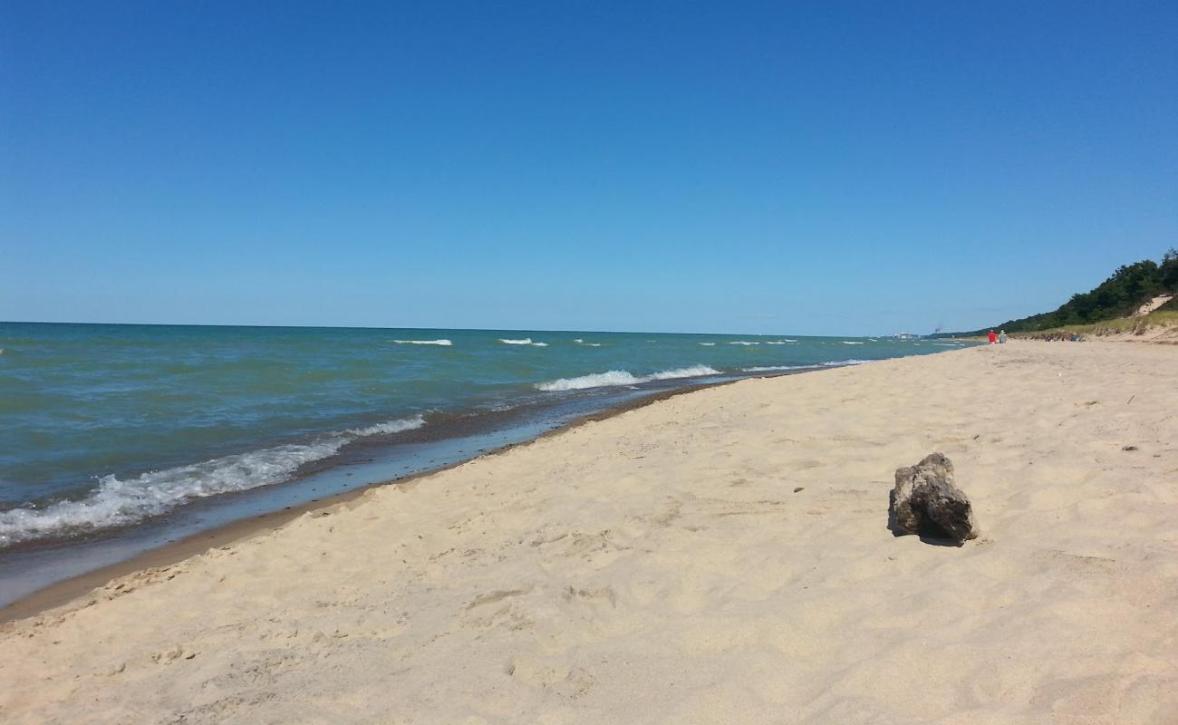 Foto de Sand Dunes Beach con arena brillante superficie