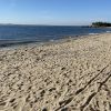 Sandy hook beach