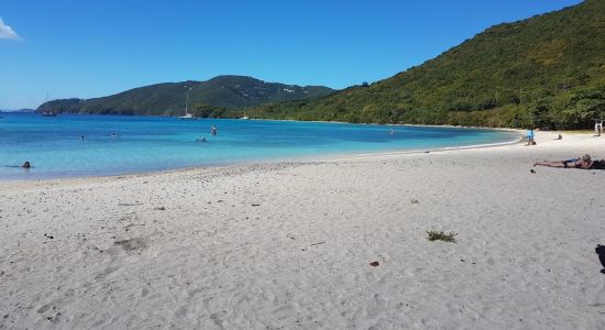 Brewers Bay beach