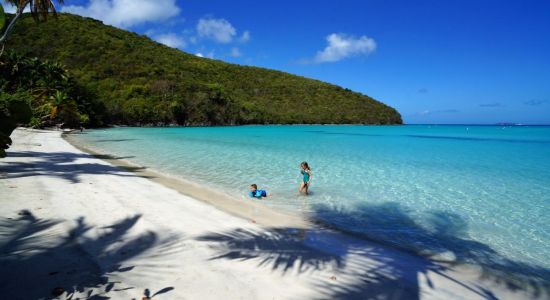 Playa de Maho Bay