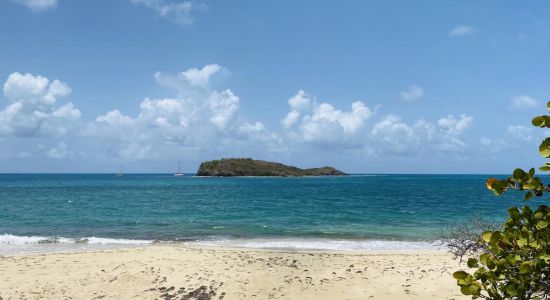 Tamarind Reef beach