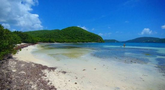 Brown Bay Beach