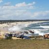 Playa Punta Rubia