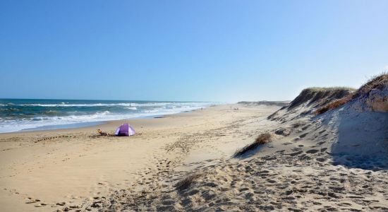 Playa de Oceanía del Polonio