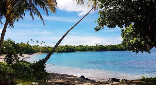 Cape Niuato'i beach