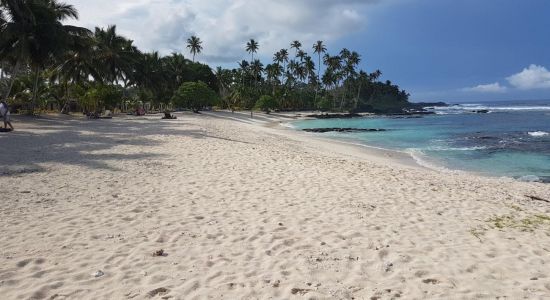 Playa Regreso al paraíso