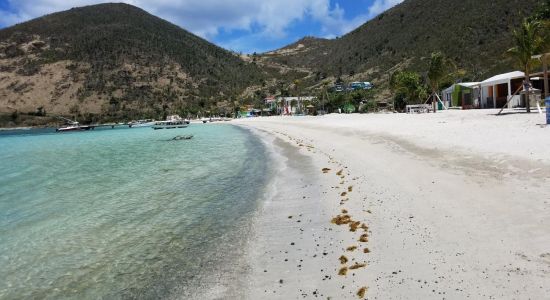 Great Harbour beach