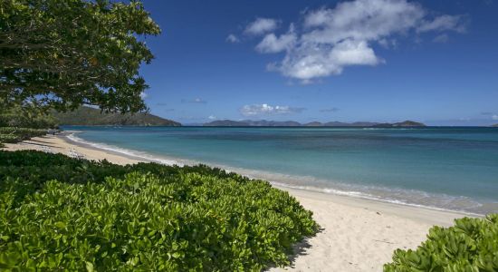 Playa Blue Lagoon