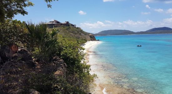 Necker Island beach