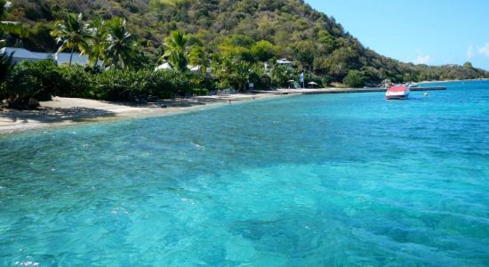 Cooper Island beach