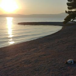 Foto de Adriatic II beach área de servicios