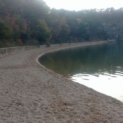 Foto de Pesja beach con agua turquesa superficie