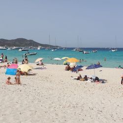 Foto de Playa de Saleccia con muy limpio nivel de limpieza