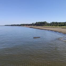 Foto de Ureki Nature beach zona salvaje