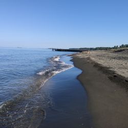 Foto de Ureki Nature beach ubicado en área natural