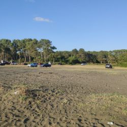 Foto de Ureki Nature beach con recta y larga