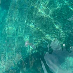 Foto de Spiaggia Cavallo Morto y su hermoso paisaje